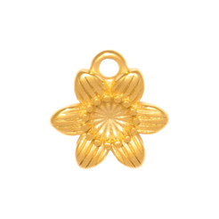 Charm CGM190