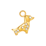 Charm CGM212