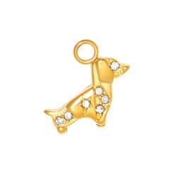 Charm CGM212