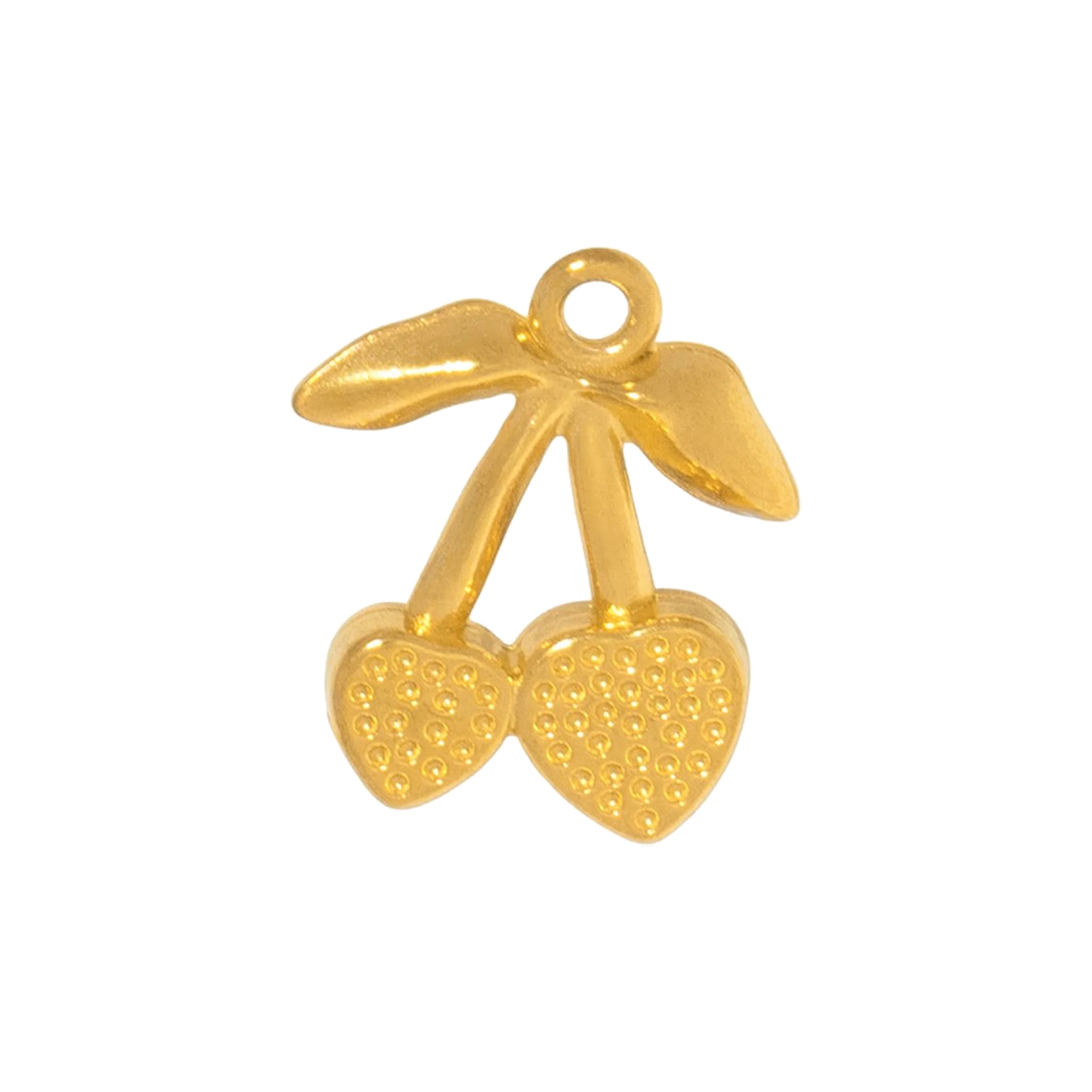 Charm CGM221