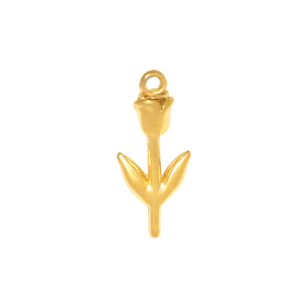 Gold Charm Tulip