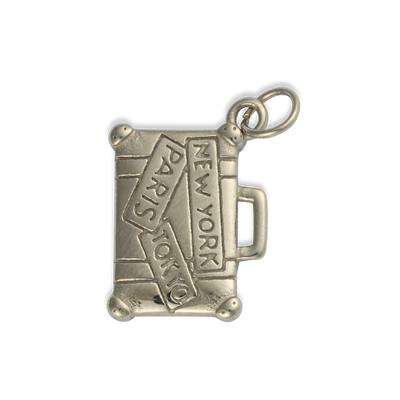 Silver Luggage