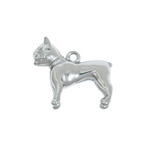 Silver Bulldog