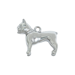 Silver Bulldog
