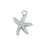 Silver Starfish