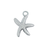 Silver Starfish