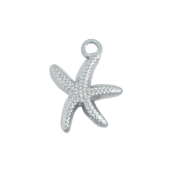 Silver Starfish