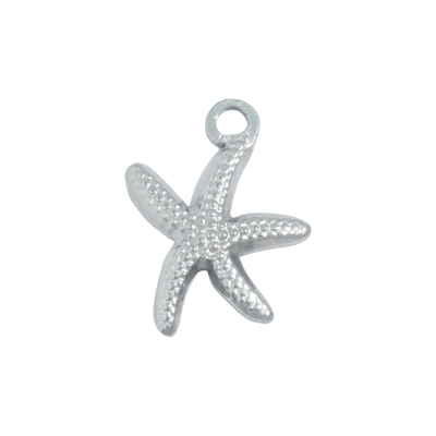 Silver Starfish