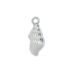 Silver Conch Shell