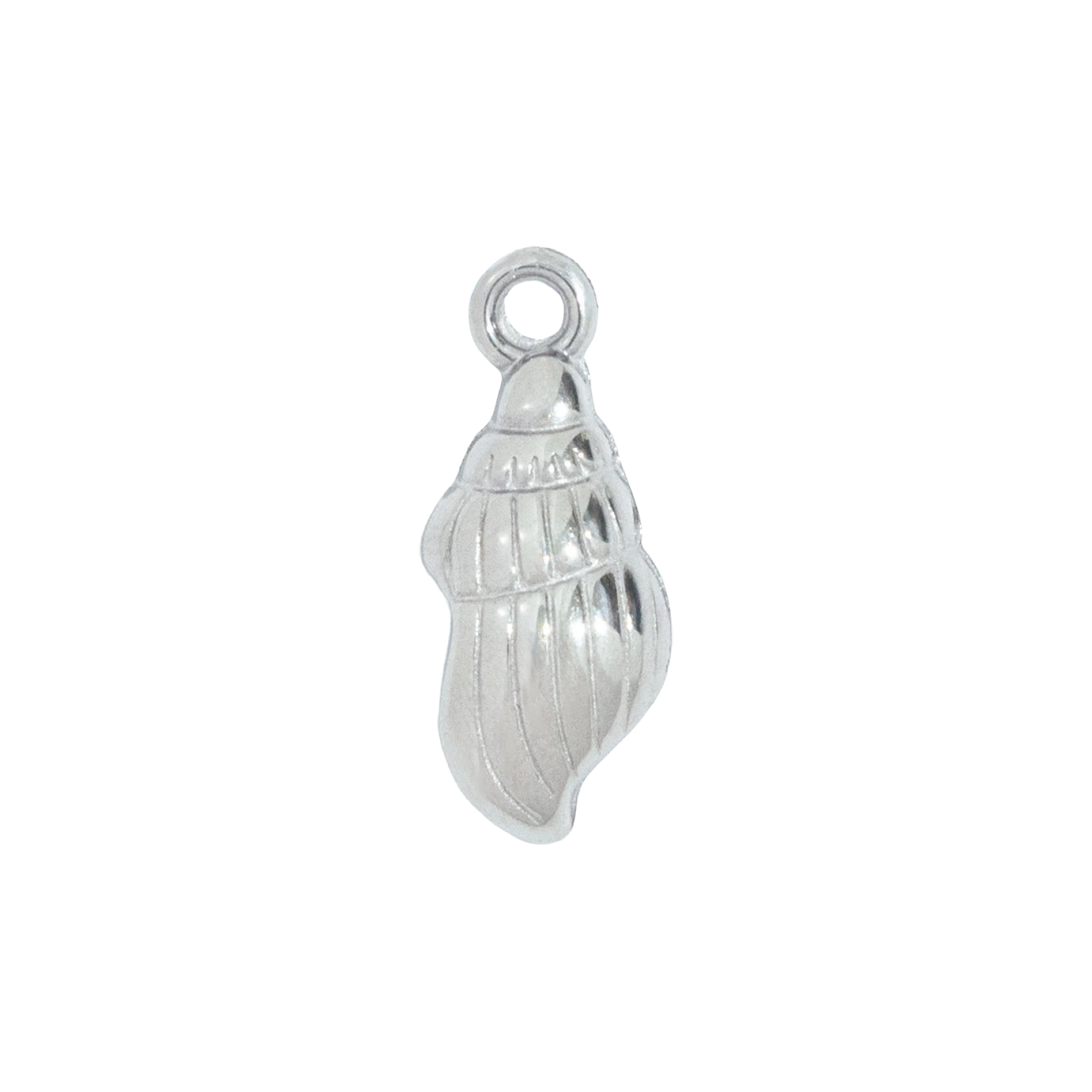 Silver Conch Shell