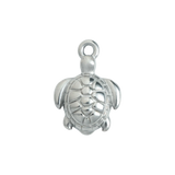 Silver Sea Turtle