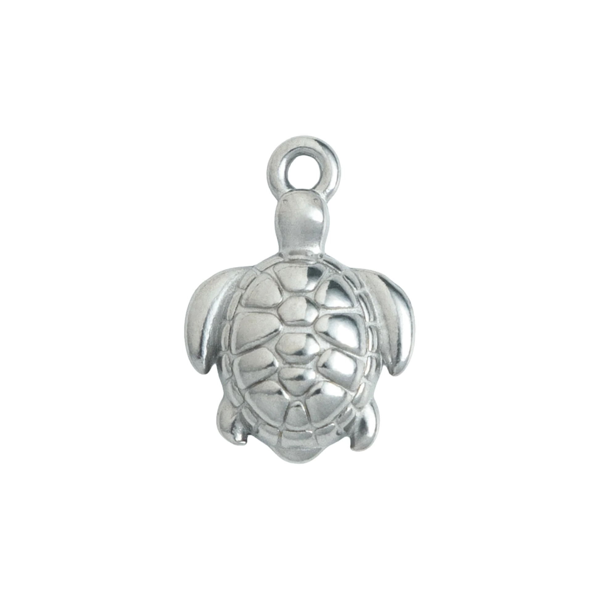 Silver Sea Turtle