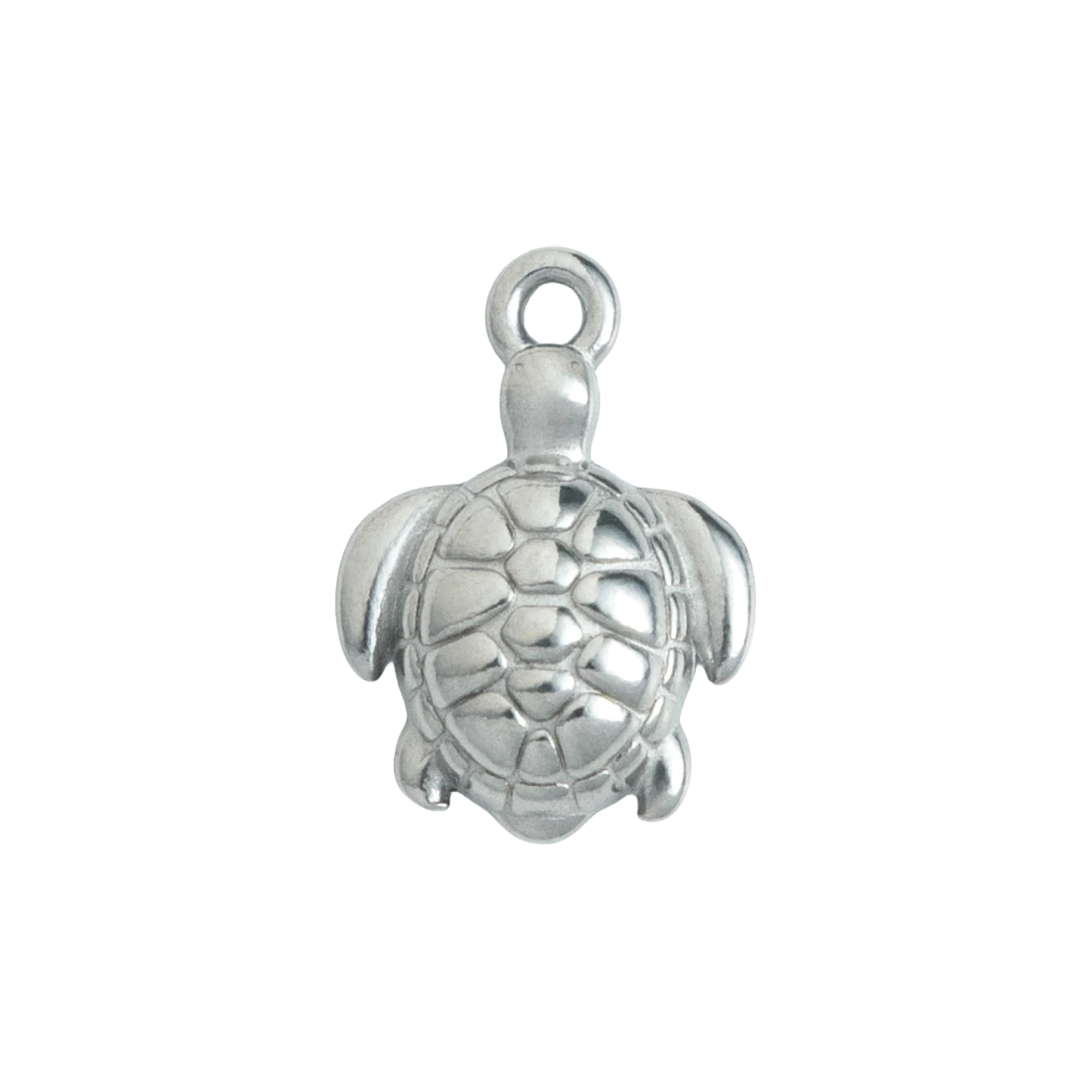 Silver Sea Turtle