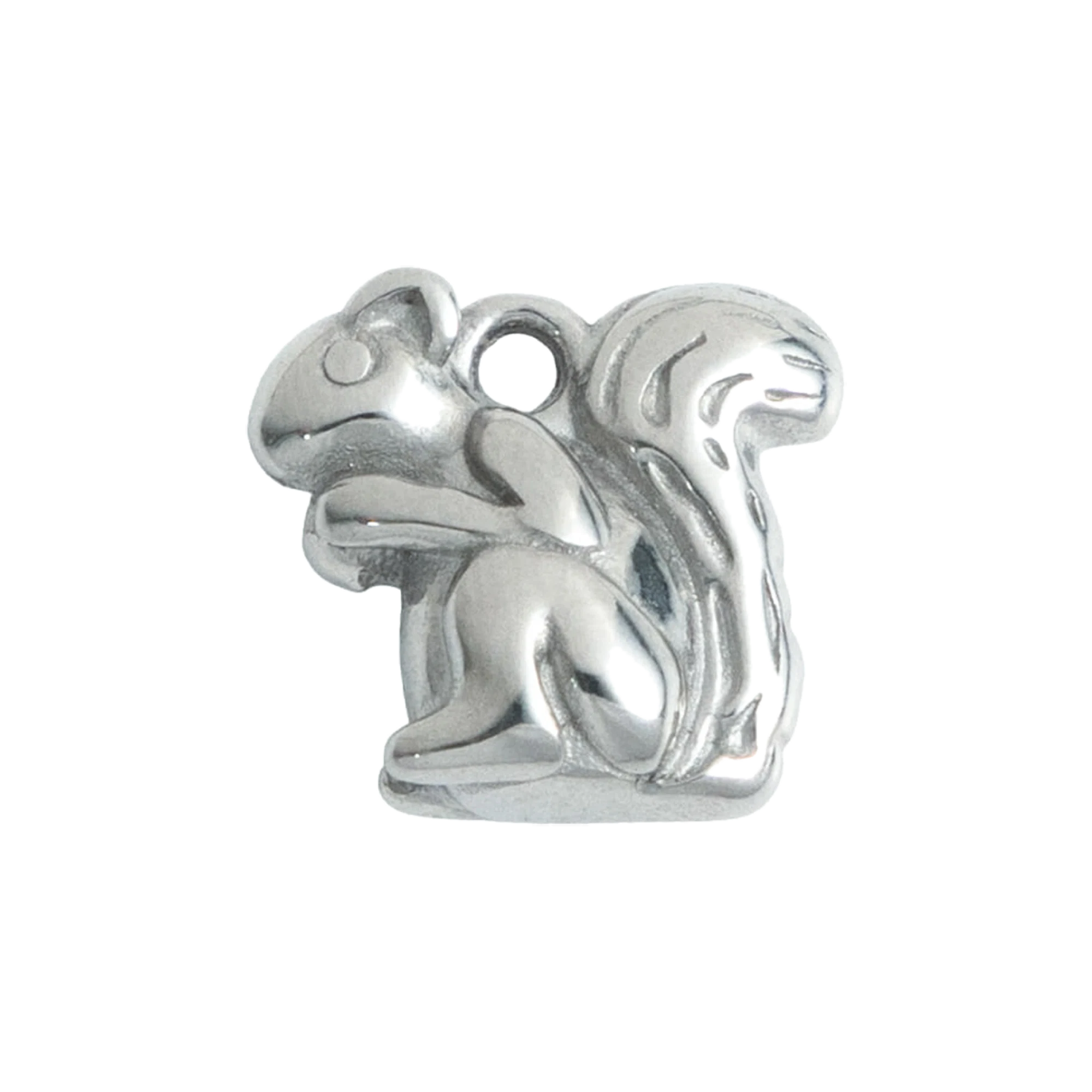 Silver Squirrel