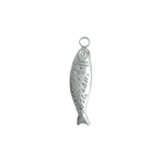 Silver Fish