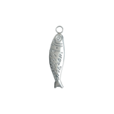 Silver Fish