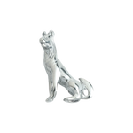 Silver Dog