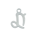 Silver Capricorn Zodiac