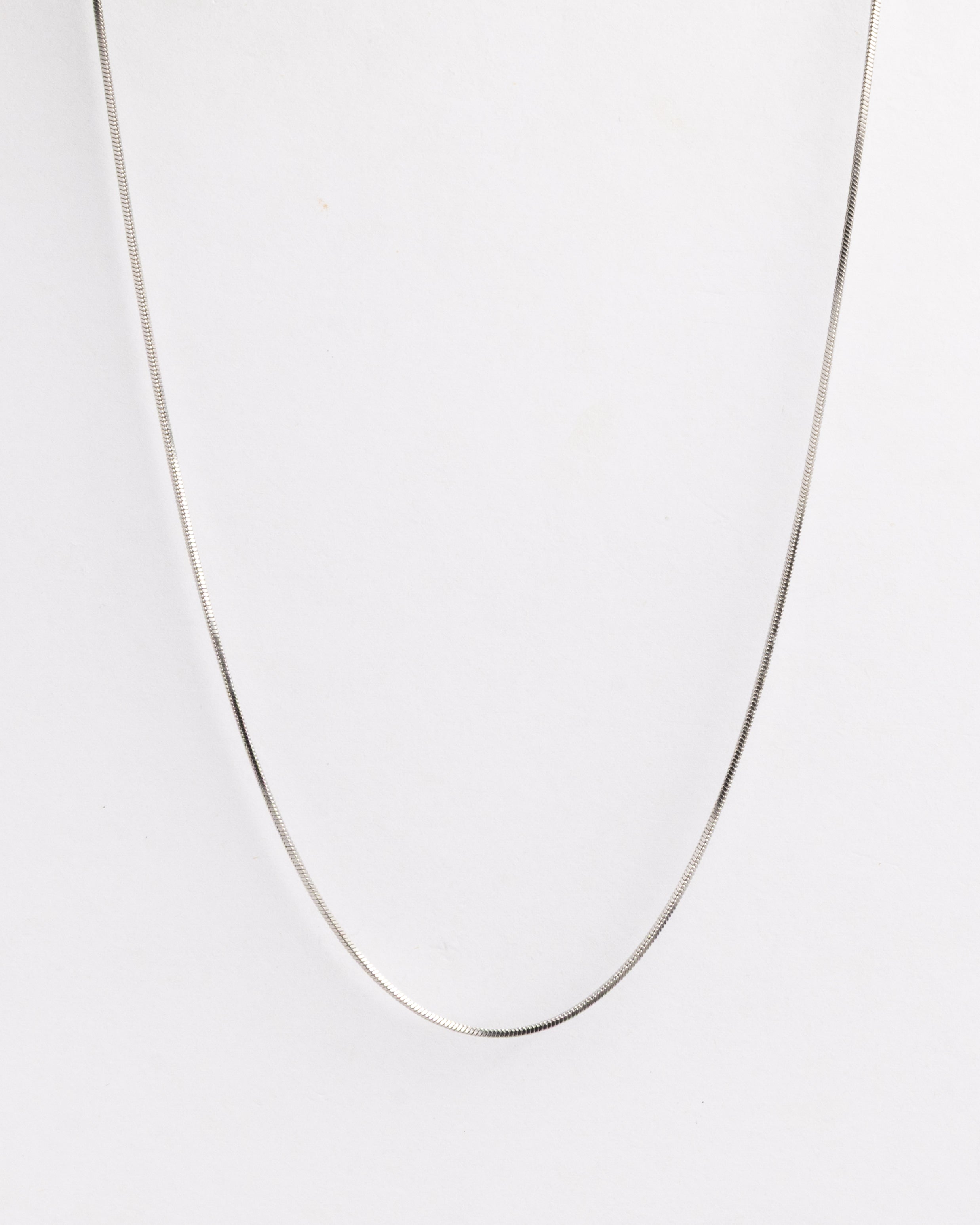Silver Snake Chain Necklace
