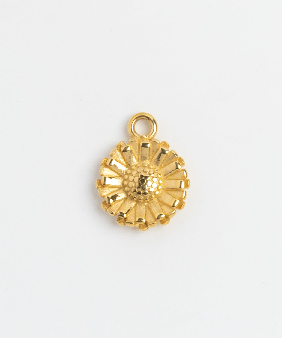 GC Charm 029 - [alt text TBD]