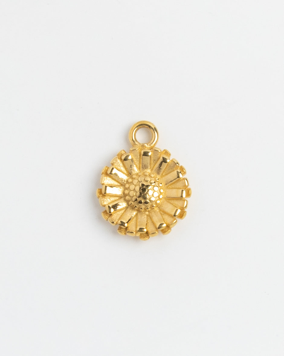 GC Charm 029 - [alt text TBD]