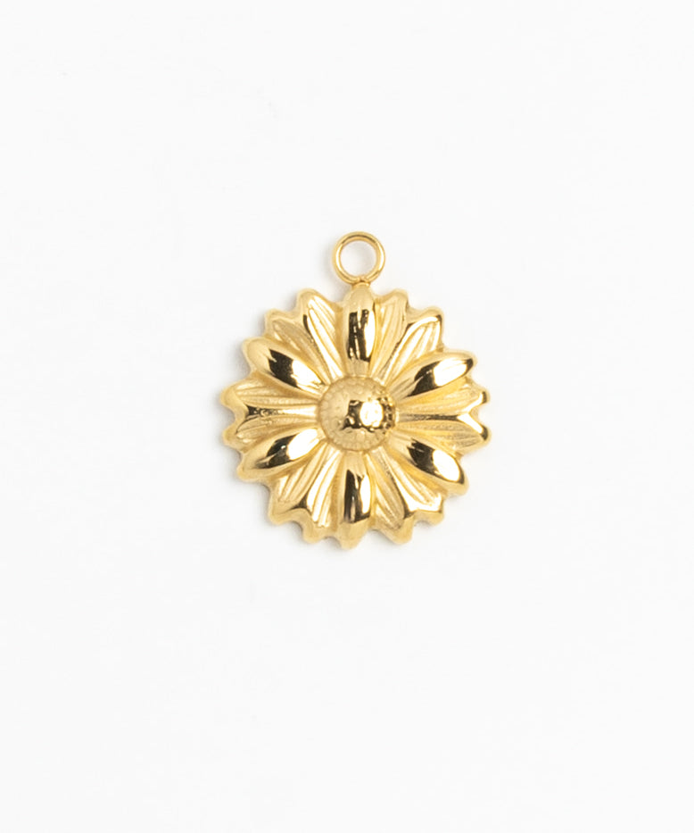 Gold Charm Dahlia