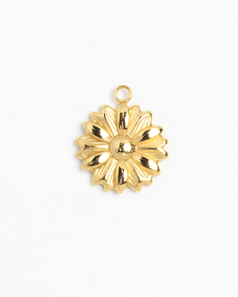 Gold Charm Dahlia